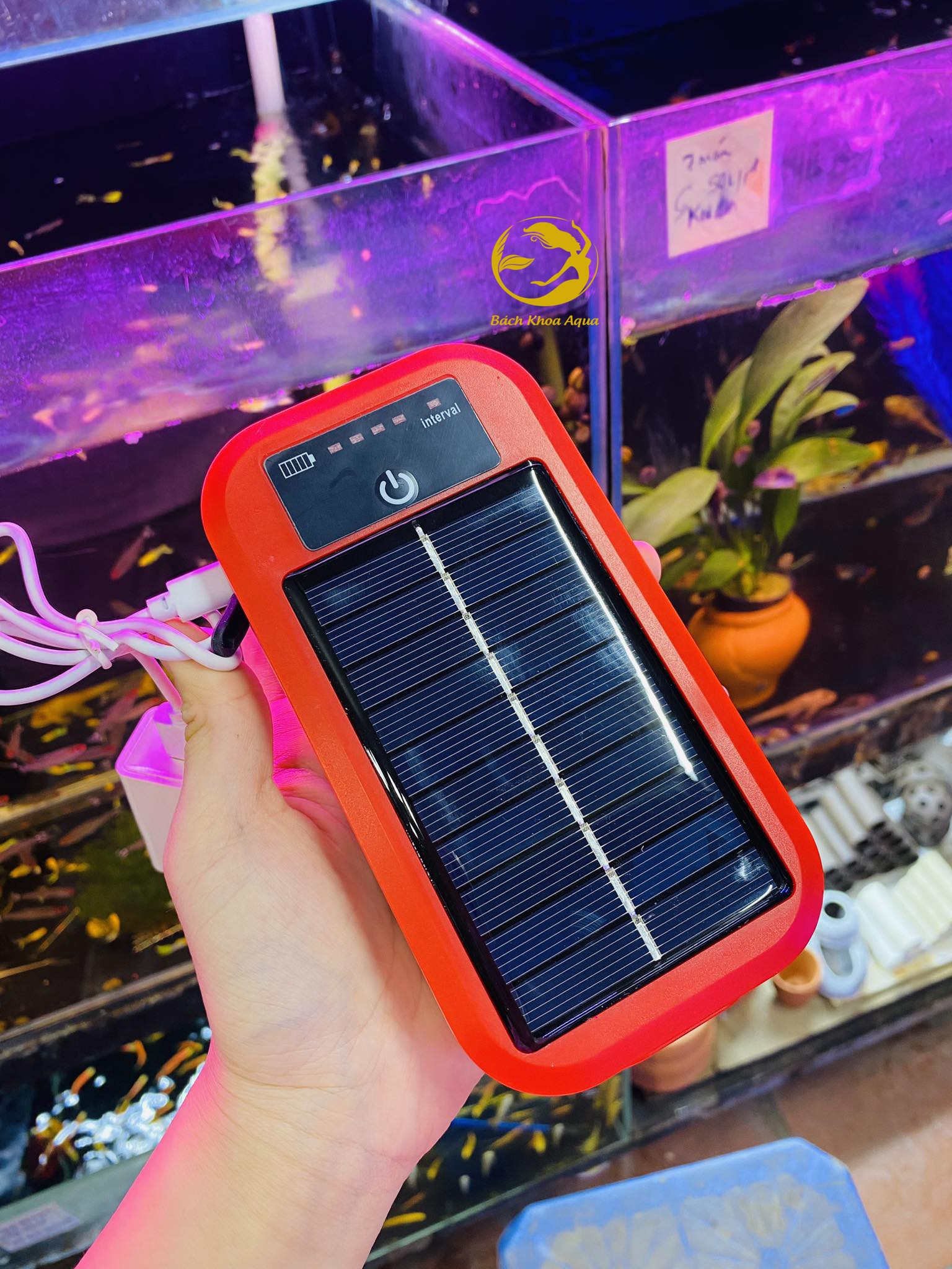 Máy sủi tích điện Baoyu BY-A3 (năng lượng mặt trời) và BY-A5 / BY-A6 tích điện cho bể cá